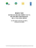 BÁO CÁO ĐÁNH GIÁ RỦI RO THIÊN TAI VÀ RỦI RO BIẾN ĐỔI KHÍ HẬU DỰA VÀO CỘNG ĐỒNG