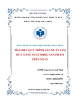 Báo cáo đồ án công nghệ chế biến thực phẩm: Tìm hiểu quy trình sản xuất jam dứa năng suất 500kg sản phẩm trên ngày