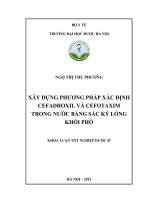 Luận văn tốt nghiệp dược sĩ: Xây dựng phương pháp xác định cefadroxil và cefotaxim trong nước bằng sắc ký lỏng khối phổ