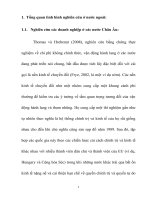 tổng quan tài liệu nghiên cứu về tác động của chi phí không chính thức đến kết quả kinh doanh của doanh nghiệp ở các nươc đang phát triển 