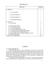 SKKN một số biện pháp giúp học sinh lớp 5 giải toán trên mạng internet (violympic 