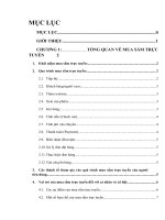 Các nhân tố ảnh hưởng đến quyết định mua sắm trực tuyến của người tiêu dùng 