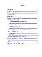 tiểu luận tài chính quốc tế triển vọng hình thành một liên minh tiền tệ khu vực asean+3 từ việc nghiên cứu quá trình thống nhất tiền tệ của liên minh châu âu 