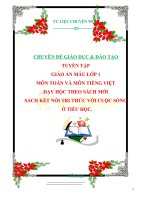 CHUYÊN ĐỀ GIÁO DỤC  ĐÀO TẠO  TUYỂN TẬP  GIÁO ÁN MẪU LỚP 1  MÔN TOÁN VÀ MÔN TIẾNG VIỆT DẠY HỌC THEO SÁCH MỚI SÁCH KẾT NỐI TRI THỨC VỚI CUỘC SỐNG  Ở TIỂU HỌC.