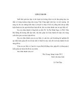 Đề tài: Nghiên cứu các thông số tạo hệ nhũ tương dầu trong nước (oil–water) ứng dụng tạo hệ nhũ tương dầu gấc