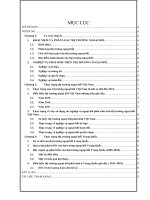 tiểu luận tài chính quốc tế thực trạng thị trường ngoại hối ở một số nước đang phát triển 