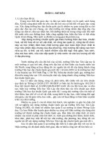 SKKN biện pháp huy động nguồn lực để nâng cao trường chuẩn quốc gia tại trường tiểu học tân lập 