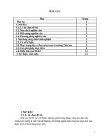 SKKN một số biện pháp chỉ đạo đôi mới phương pháp dạy học ở tiểu học 