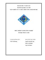 Tiểu luận: Phúc trình vi sinh học công nghiệp