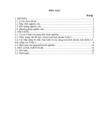 SKKN giúp học sinh lớp 5 rèn kĩ năng tính nhanh, tính nhẩm  