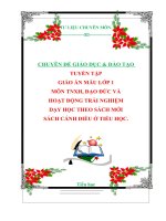 CHUYÊN ĐỀ GIÁO DỤC  ĐÀO TẠO  TUYỂN TẬP  GIÁO ÁN MẪU LỚP 1  MÔN TNXH, ĐẠO ĐỨC VÀ HOẠT ĐỘNG TRẢI NGHIỆM DẠY HỌC THEO SÁCH MỚI  SÁCH CÁNH DIỀU Ở TIỂU HỌC.