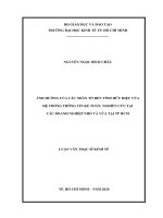 Ảnh hưởng của các nhân tố đến tính hữu hiệu của hệ thống thông tin kế toán  nghiên cứu tại các doanh nghiệp nhỏ và vừa tại TP HCM 