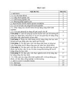 SKKN một số biện pháp chỉ đạo rèn kỹ năng sống cho học sinh tiểu học nhằm nâng cao chất lượng giáo dục 