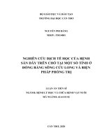 Nghiên cứu bênh sán dây trên chó tại một số tỉnh ở đồng bằng sông cửu long và biện pháp phòng trị 