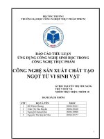Tiểu luận: Công nghệ sản xuất chất tạo ngọt từ vi sinh vật