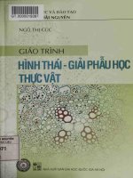 [EBOOK] GIÁO TRÌNH HÌNH THÁI - GIẢI PHẨU HỌC THỰC VẬT P1, NGÔ THỊ CÚC, NXB ĐẠI HỌC QUỐC GIA HÀ NỘI_tailieunongnghiep.wordpress.com