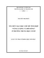 Dạy học tích hợp chủ đề năng lượng với đời sống