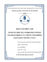 BÁO CÁO THỰC TẬP ĐÁNH GIÁ HIỆU QUẢ MARKETING ONLINE  SẢN PHẨM EREKA! CỦA TRUNG TÂM KHÔNG GIAN MẠNG VIETTEL (VTCC)