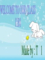 Bài giảng Tiếng Anh 11 – Unit 3: A party (Reading)