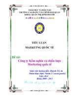 Tiểu luận: Công ty kềm nghĩa và chiến lược marketing quốc tế