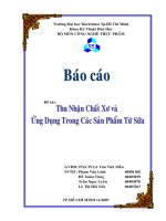 Báo cáo: Thu nhận chất xơ và ứng dụng trong các sản phẩm từ sữa