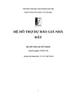 hệ hỗ trợ dự báo giá nhà đất
