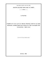 NGHIÊN cứu xác lập các THUỘC TÍNH đặc TRƯNG các KIỂU mỏ RUBY, SAPHIR TRONG đá GNEIS của VIỆT NAM (KIỂU mỏ tân HƯƠNG – TRÚC lâu) 