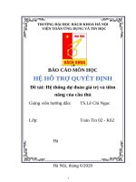 Hệ thống dự đoán giá trị và tiềm năng của cầu thủ
