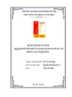 hệ hỗ trợ phân loại khách hàng để đưa ra chiến lược marketing