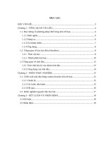 Đề tài: Tinh dầu từ cây hoa bia (houblon)