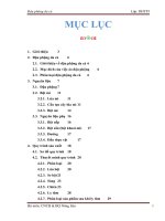 Đề tài: Sản xuất đậu phộng da cá