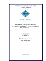 Xác định quy mô đất tối ưu trong sản xuất nông nghiệp của người dân đồng bằng sông cửu long tt tieng anh 