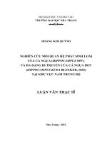 Nghiên cứu mối quan hệ phát sinh loài của cá ngựa (hippocampus SPP) và đa dạng di truyền của cá ngựa đen (hippocampus kuda blleeker, 1852) tại khu vực nam trung bộ 