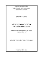 Số Hyperfibonqcci và số Hyperlucas (Luận văn thạc sĩ)