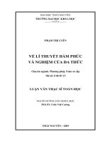Về lí thuyết hàm phức và nghiệm của đa thức (Luận văn thạc sĩ)