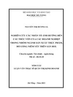 Nghiên cứu các nhân tố ảnh hưởng đến cấu trúc vốn của các doanh nghiệp trong nhóm ngành sản xuất thực phẩm, đồ uống niêm yết trên sàn HSX