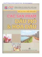 Các sản phẩm dầu mỏ   kiều đình kiểm