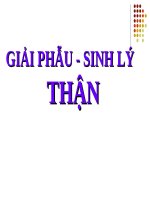 giải phẫu sinh lý thận