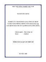 Nghiên cứu thành phần loài, tính gây bệnh và khả năng phòng chống nấm colletotrichum spp  gây bệnh thán thư ớt tại đồng bằng sông hồng (tt) 