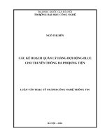 các kế hoạch quản lý hàng đợi động blue cho truyền thông đa phƣơng tiện 