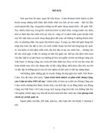 TL LỊCH sử PHONG TRÀO CSCNQT  quá trình hình thành và phát triển đảng cộng sản cuba từ năm 1965 tới nay)