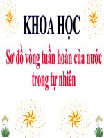 Số đo vòng tuần hoàn của nước trong tự nhiên 