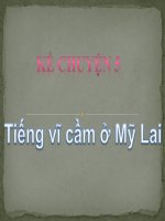 Tiếng vĩ cầm ở mỹ lai 