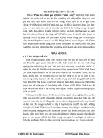 Đề tài: Phân tích chuỗi giá trị bưởi ở vĩnh long