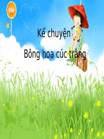 slide bài giảng kể chuyện bông hoa cúc trắng 
