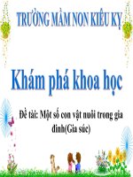 slide bài giảng một số con vật nuôi trong gia đình   gia súc 