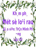 slide bài giảng khám phá một số loại rau 