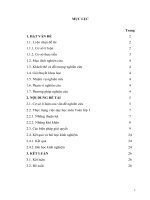 DẠY TOÁN CHO học SINH lớp 1 THEO HƯỚNG PHÁT TRIỂN NL