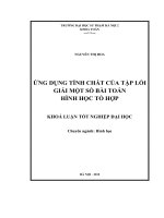 Luận Văn Ứng dụng tính chất của tập lồi giải một số bài toán hình học tổ hợp