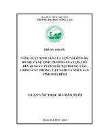 Năng suất sinh sản của lợn nái ông bà, bố mẹ và sự sinh trưởng của lợn con đến 60 ngày tuổi nuôi tại Trung tâm giống cây trồng, vật nuôi và thủy sản tỉnh Hòa Bình (Luận văn thạc sĩ)